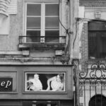 IMG_6952_R_NB par BRUGEL