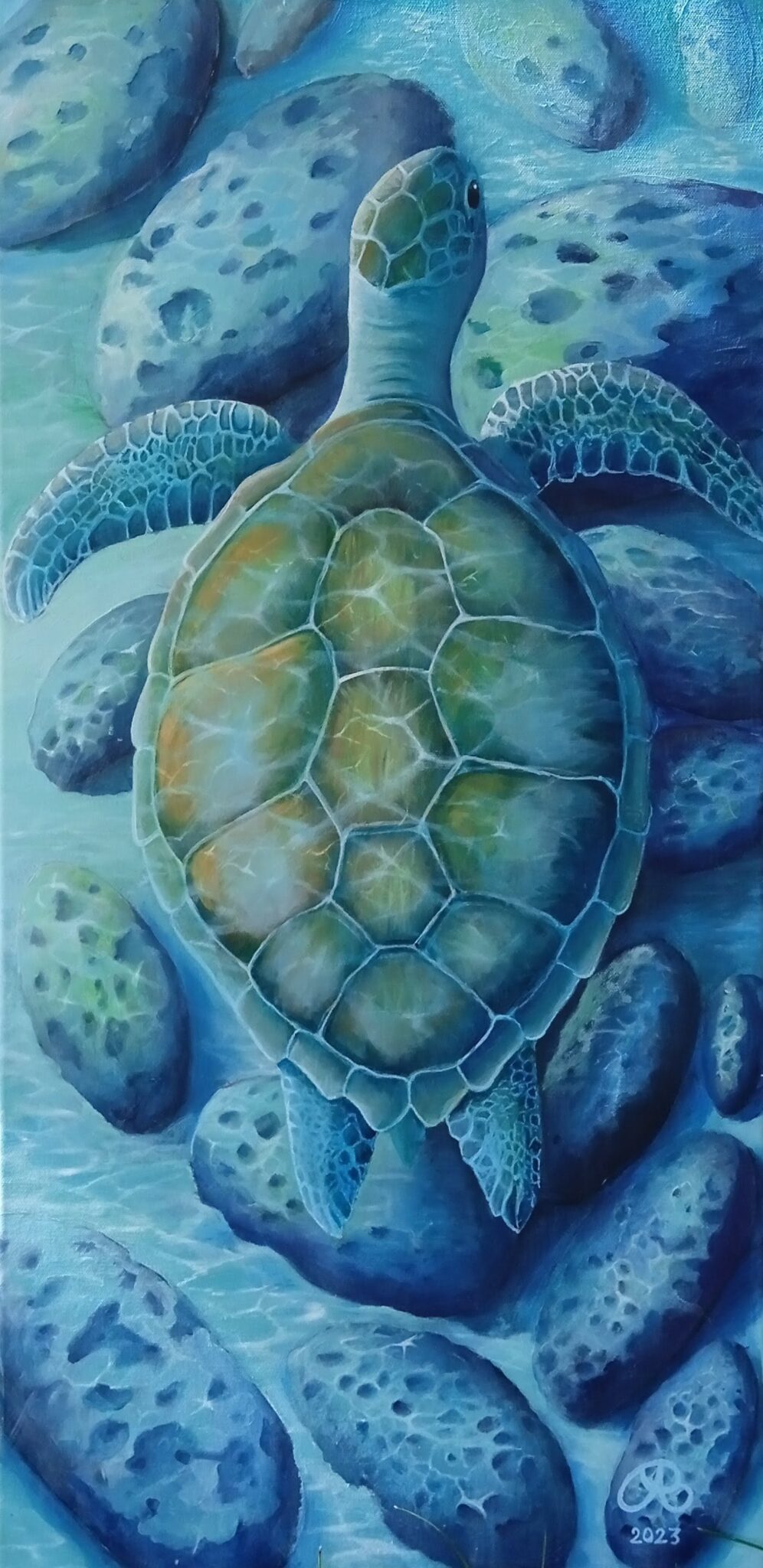 honu-2