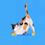 Just a cat wearing crocs