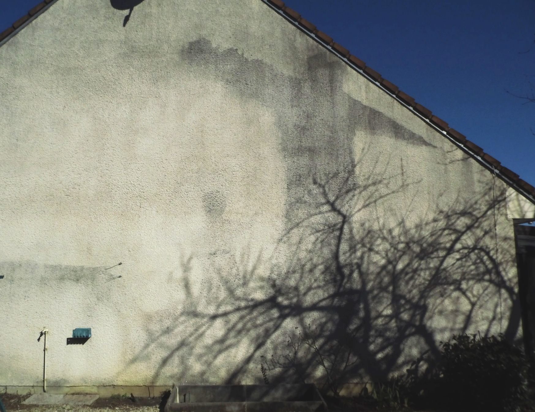 st-eloi