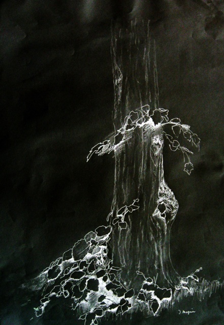 arbre-a-reves