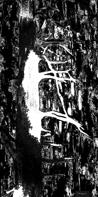 le-nocturne