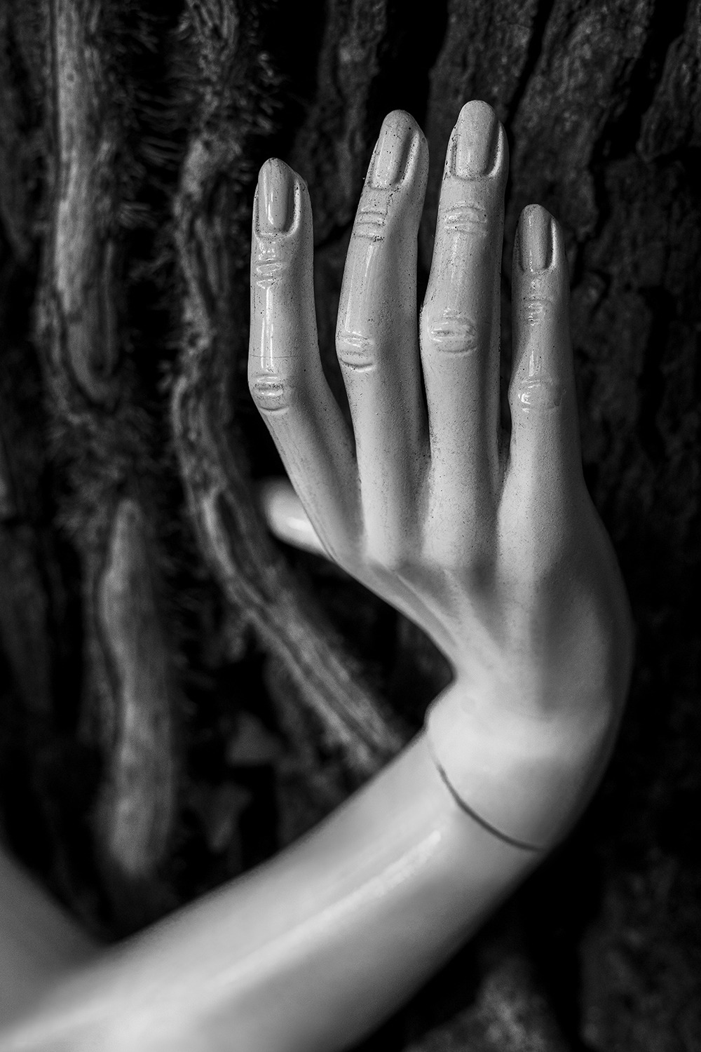 untitled01_the-nature-of-all-things