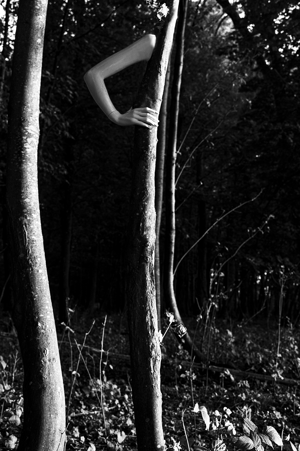 untitled06_the-nature-of-all-things