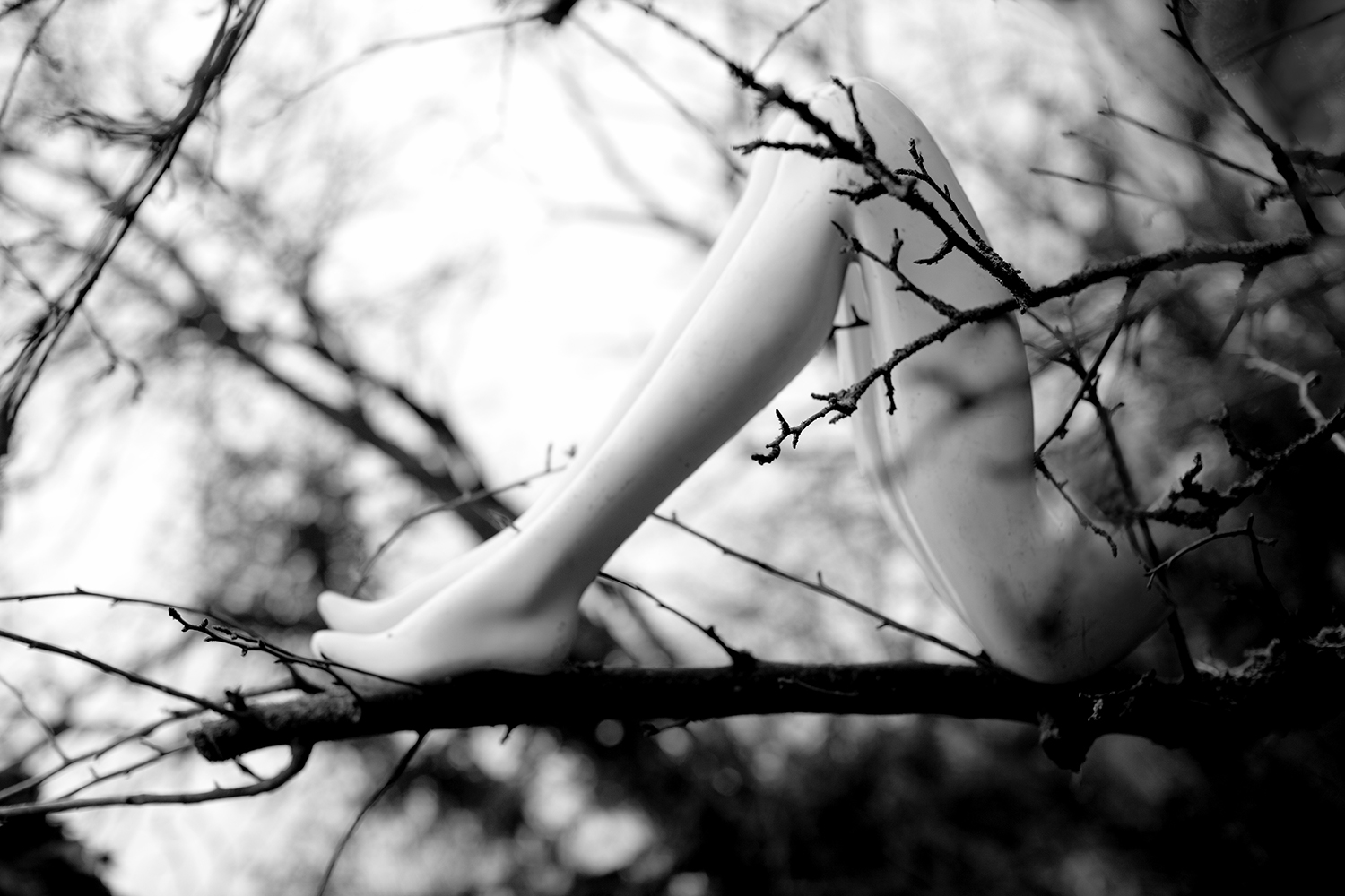 untitled07-the-nature-of-all-things