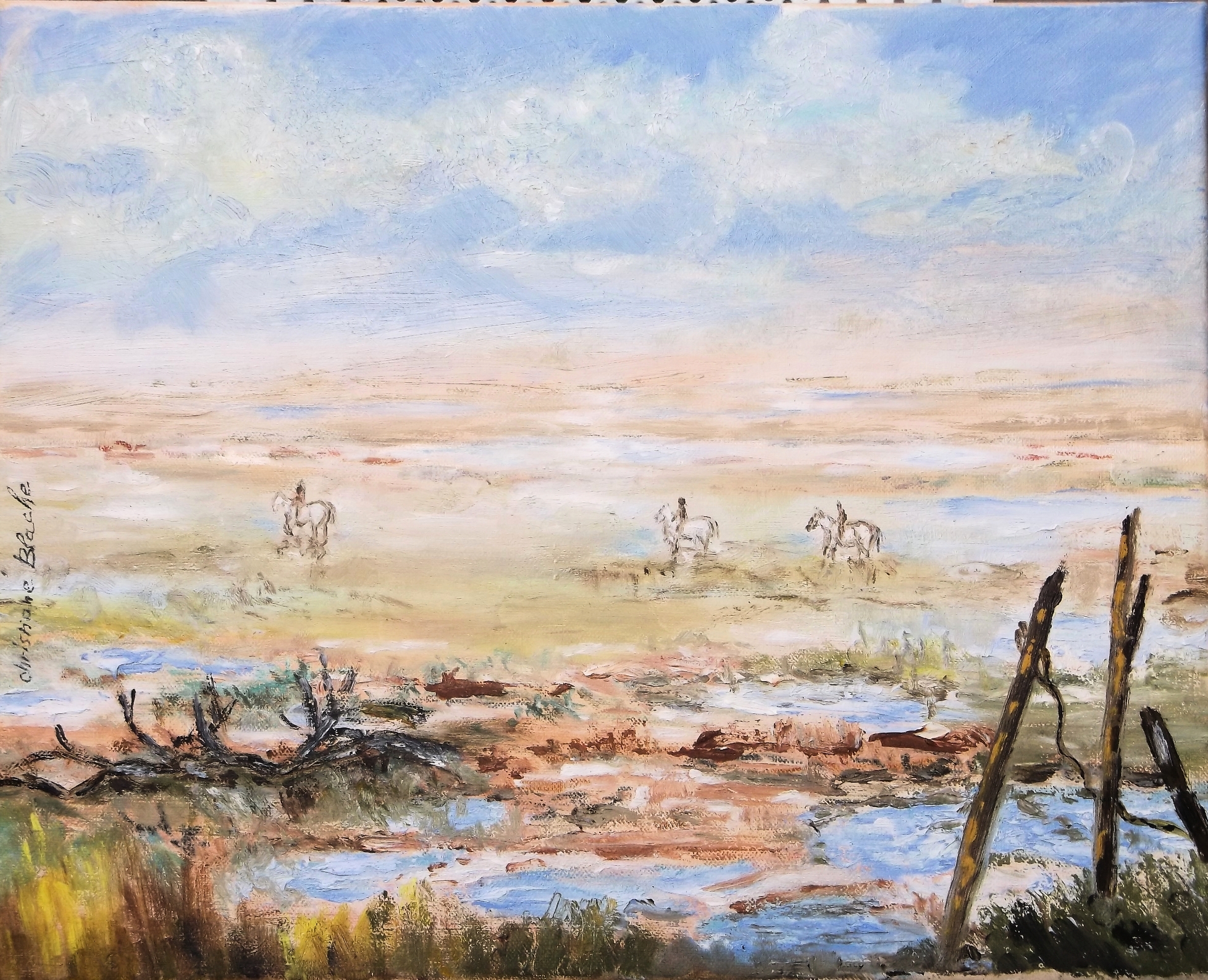 camargue-les-grands-espaces