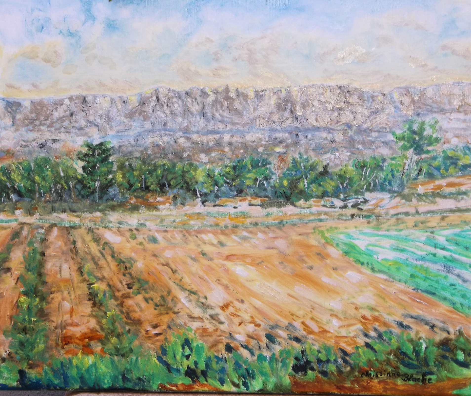 plateau-du-cengle-la-sainte-victoire