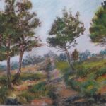 les pins dans la campagne aixoise (Rousset) par Christiane BLACHE