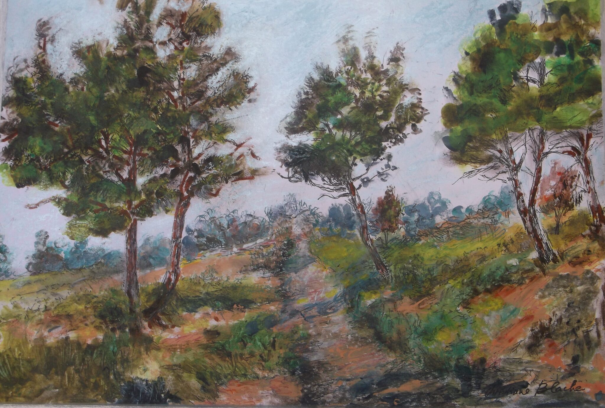 les-pins-dans-la-campagne-aixoise-rousset