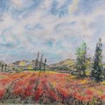 le temps des coquelicots en provence par Christiane BLACHE