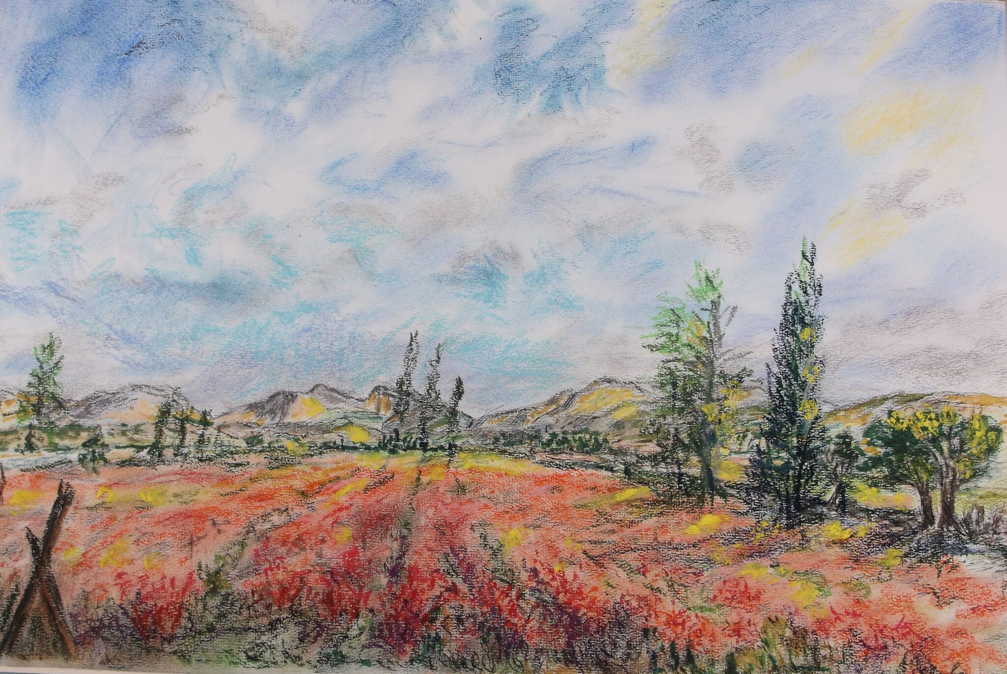 le-temps-des-coquelicots-en-provence