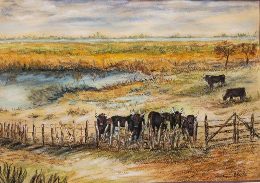 automne-en-camargue-les-taureaux