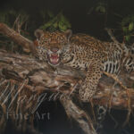 Nuit amazonienne: Le Jaguar par Anne MARGUET