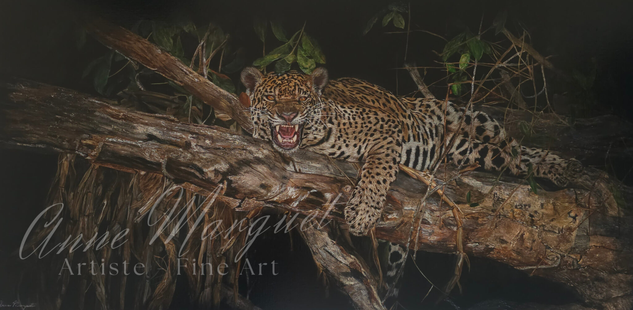 nuit-amazonienne-le-jaguar