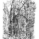 Bruyant extrait