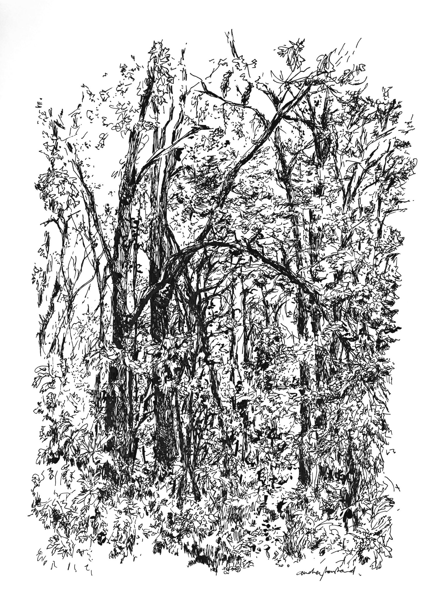 bruyant-extrait