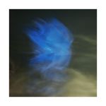 plastic bag