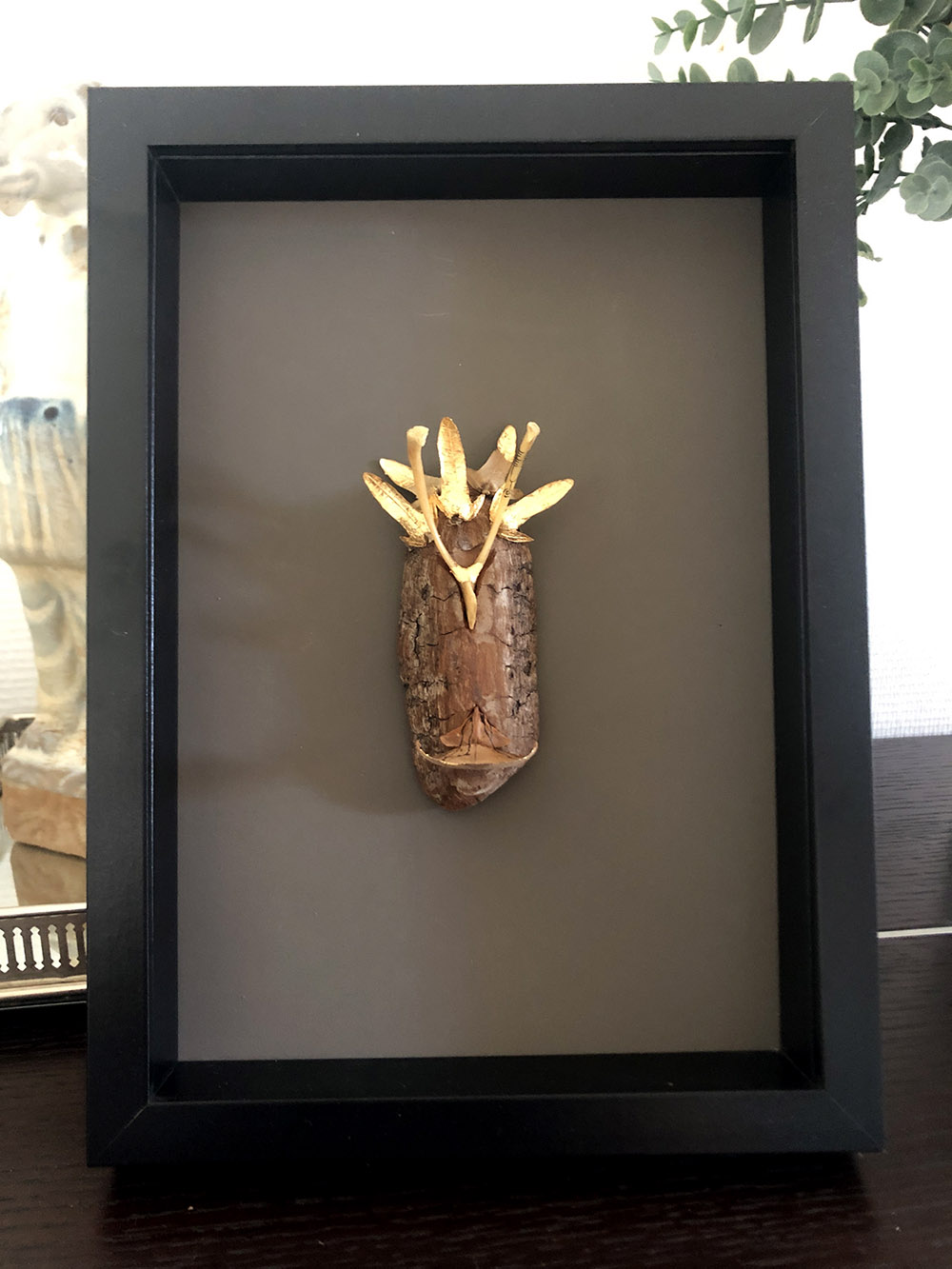 couronne