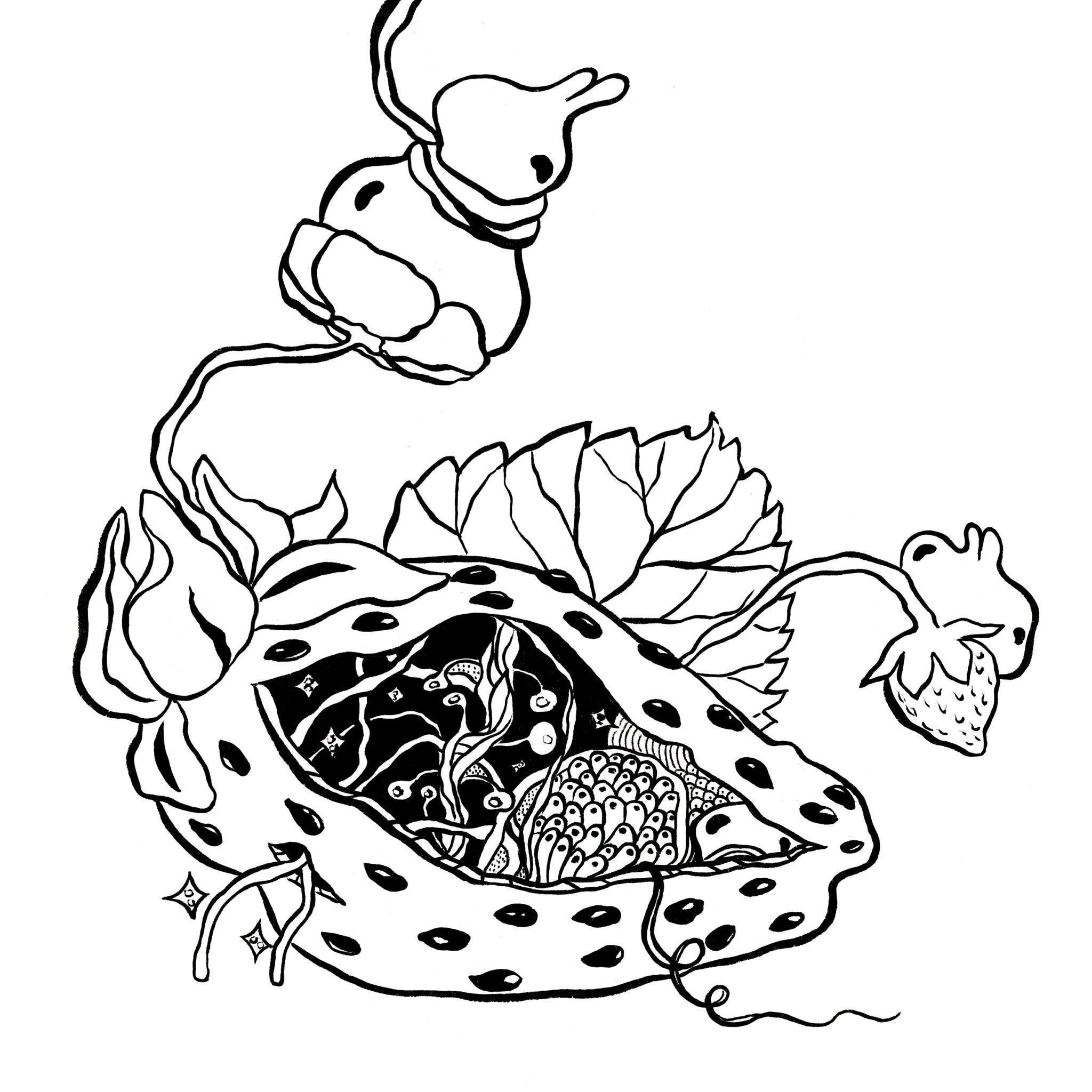 anomalie-n-0110-2