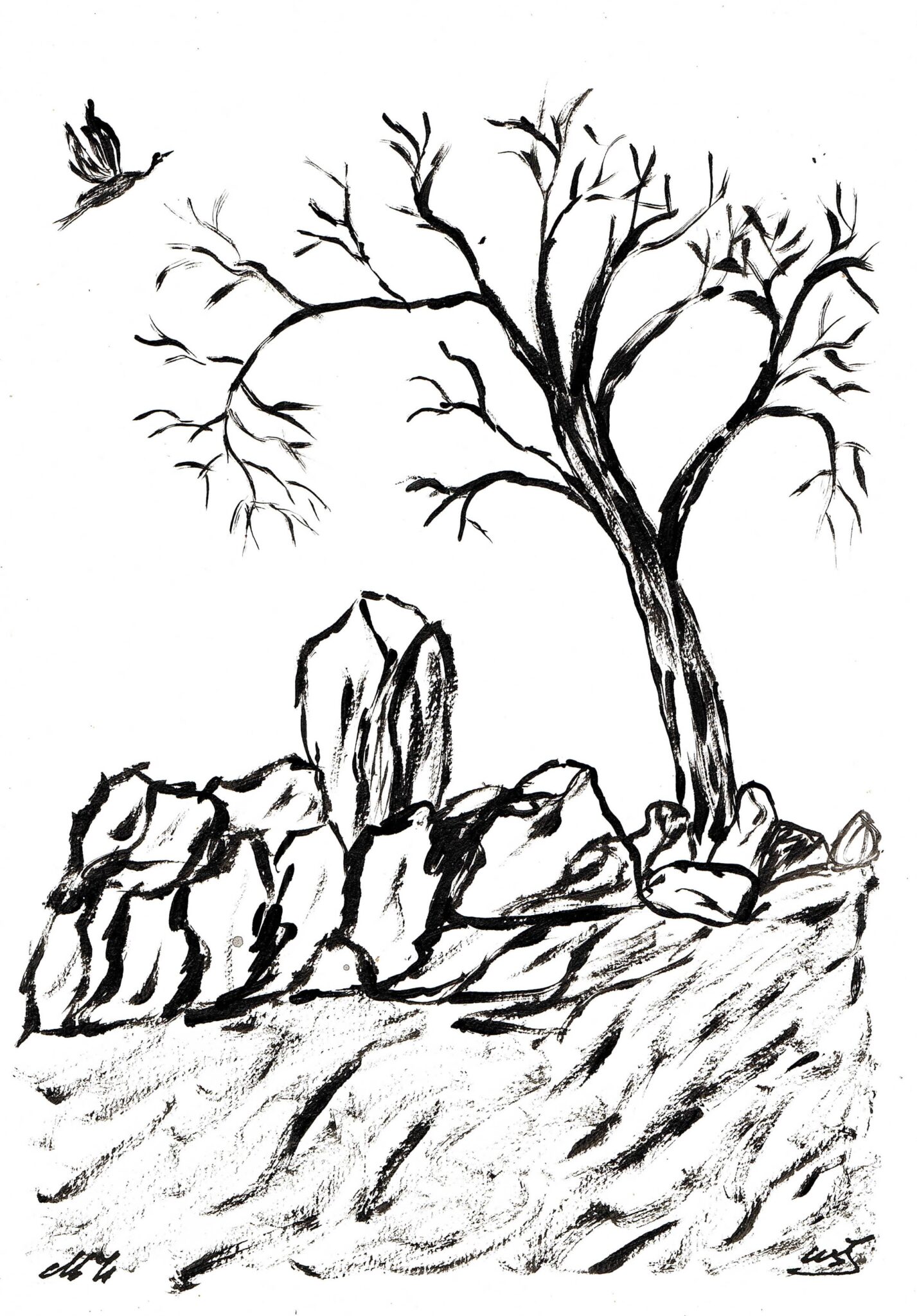 nature-12