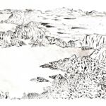 continent