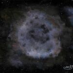 cosmos