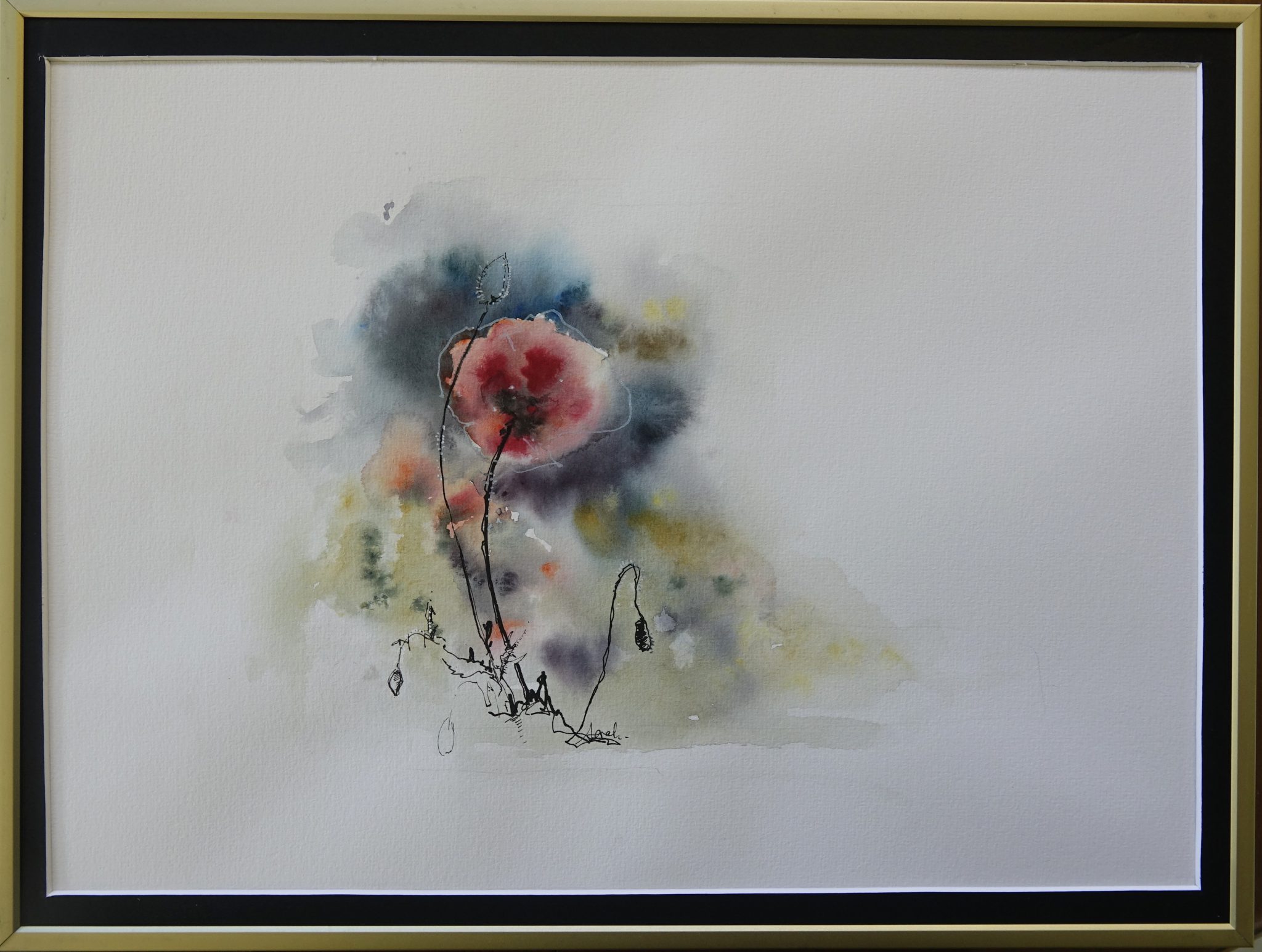 coquelicots-2-2