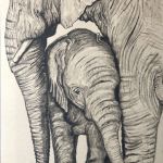 IMG-6020 par Segolen Genoud