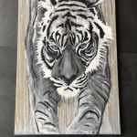 IMG-6028 par Segolen Genoud