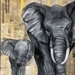 IMG-6793 par Segolen Genoud