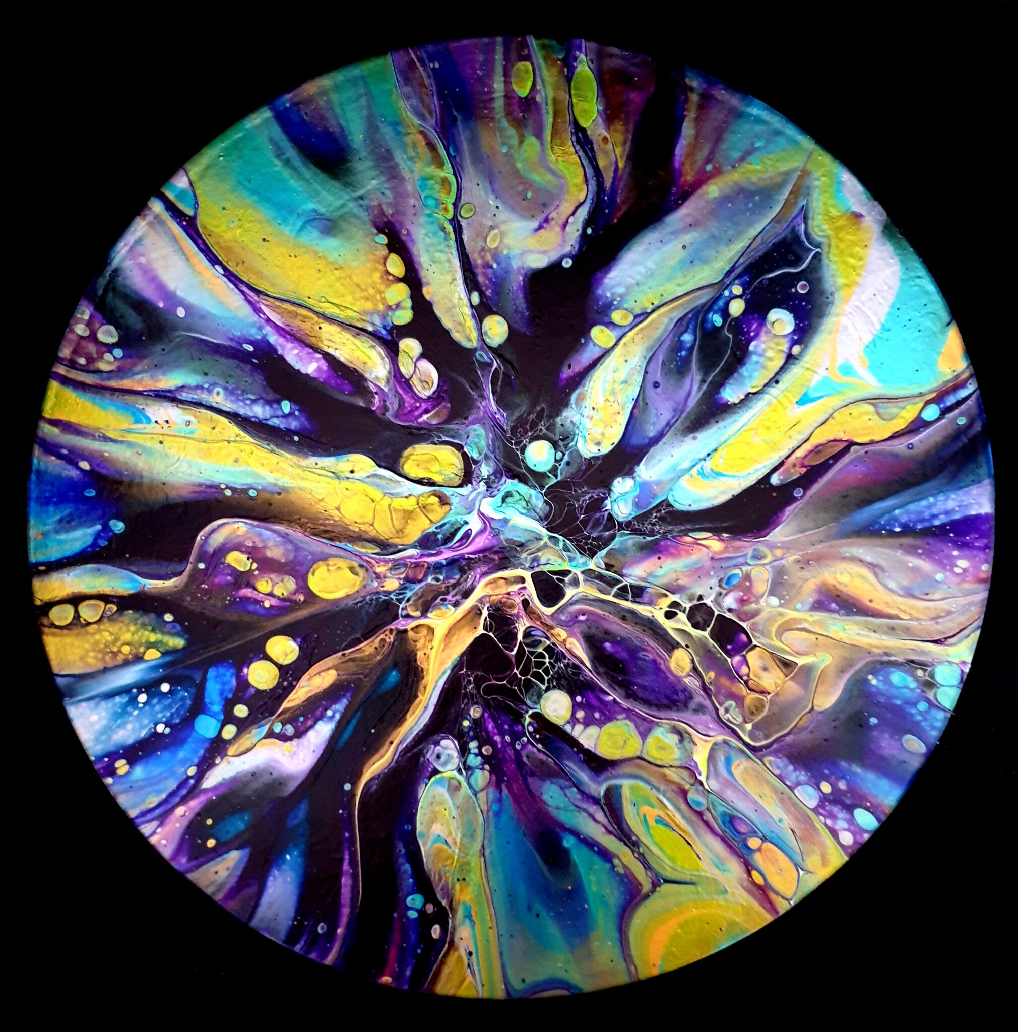 andromede-2