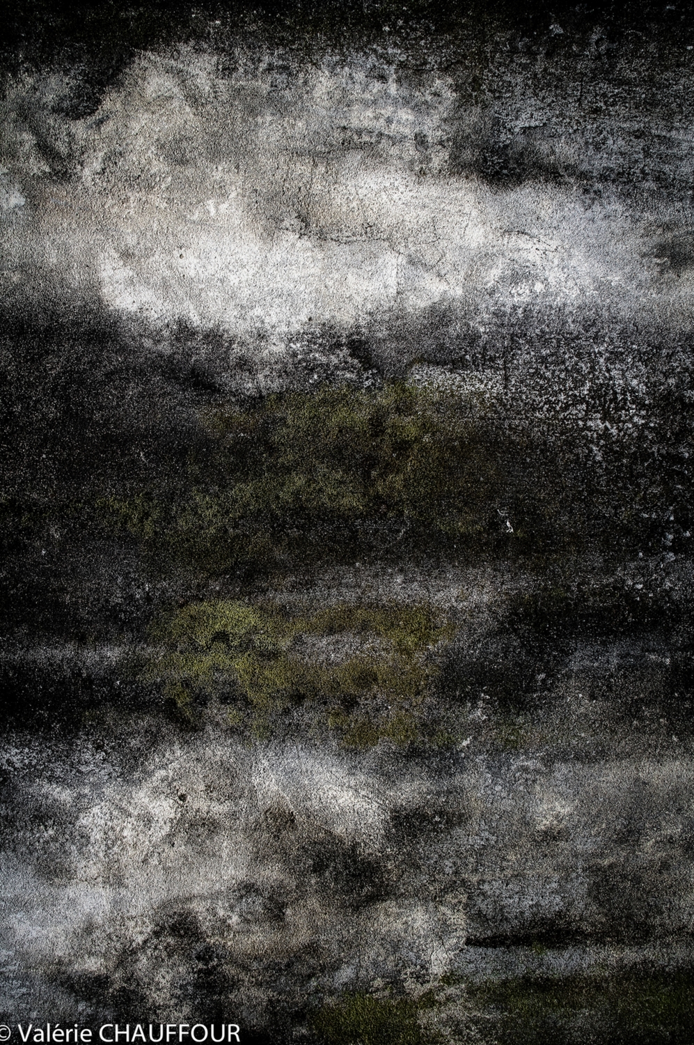 abstractions-dindochine-songes-du-temps-passe