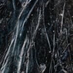 Transformation Part I - Forest par Chauffour Valérie