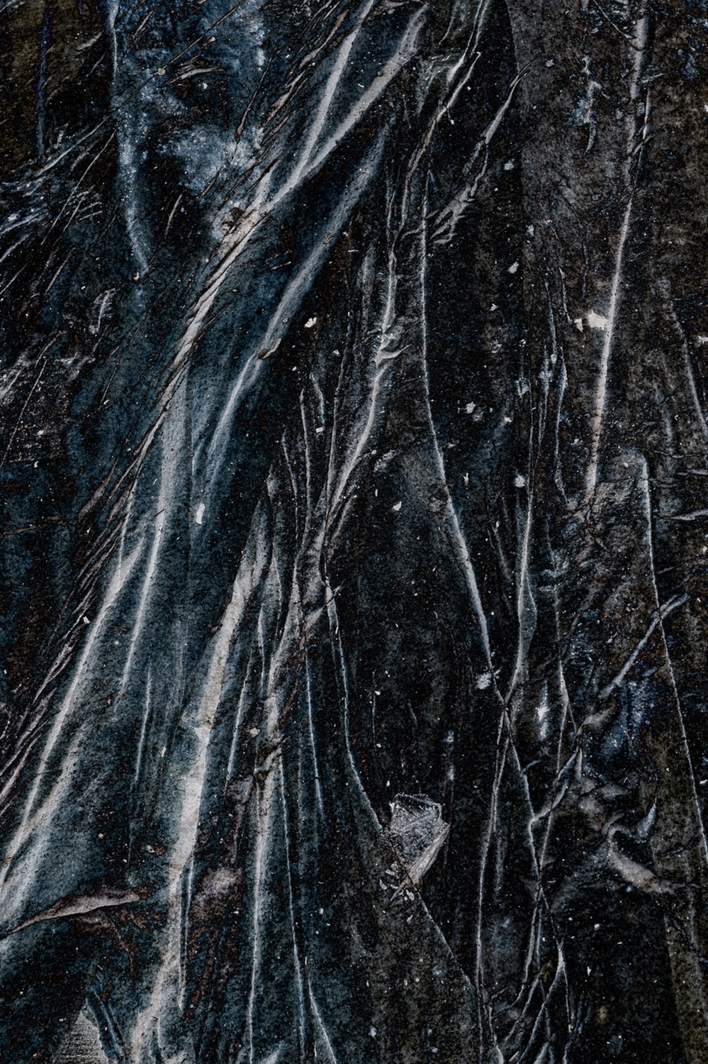 transformation-part-i-forest
