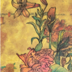 Pivoine déclinaison n°2