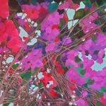 Bougainvillier III