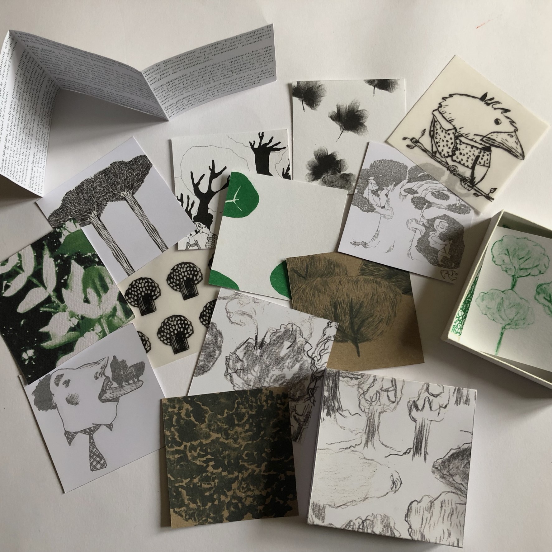 arboraissances-boite-a-images