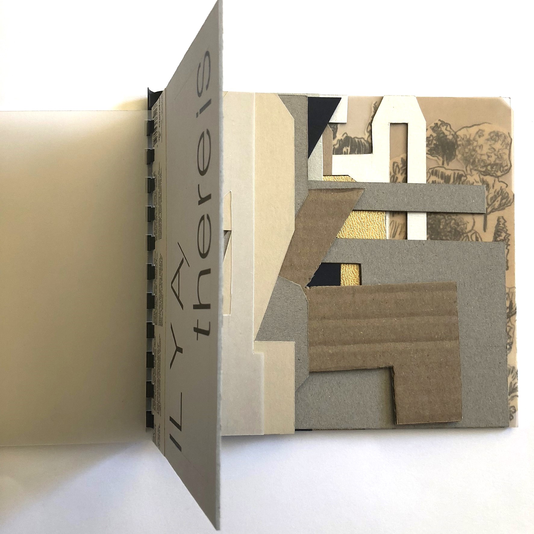 il-y-a-there-is-la-boite-noire