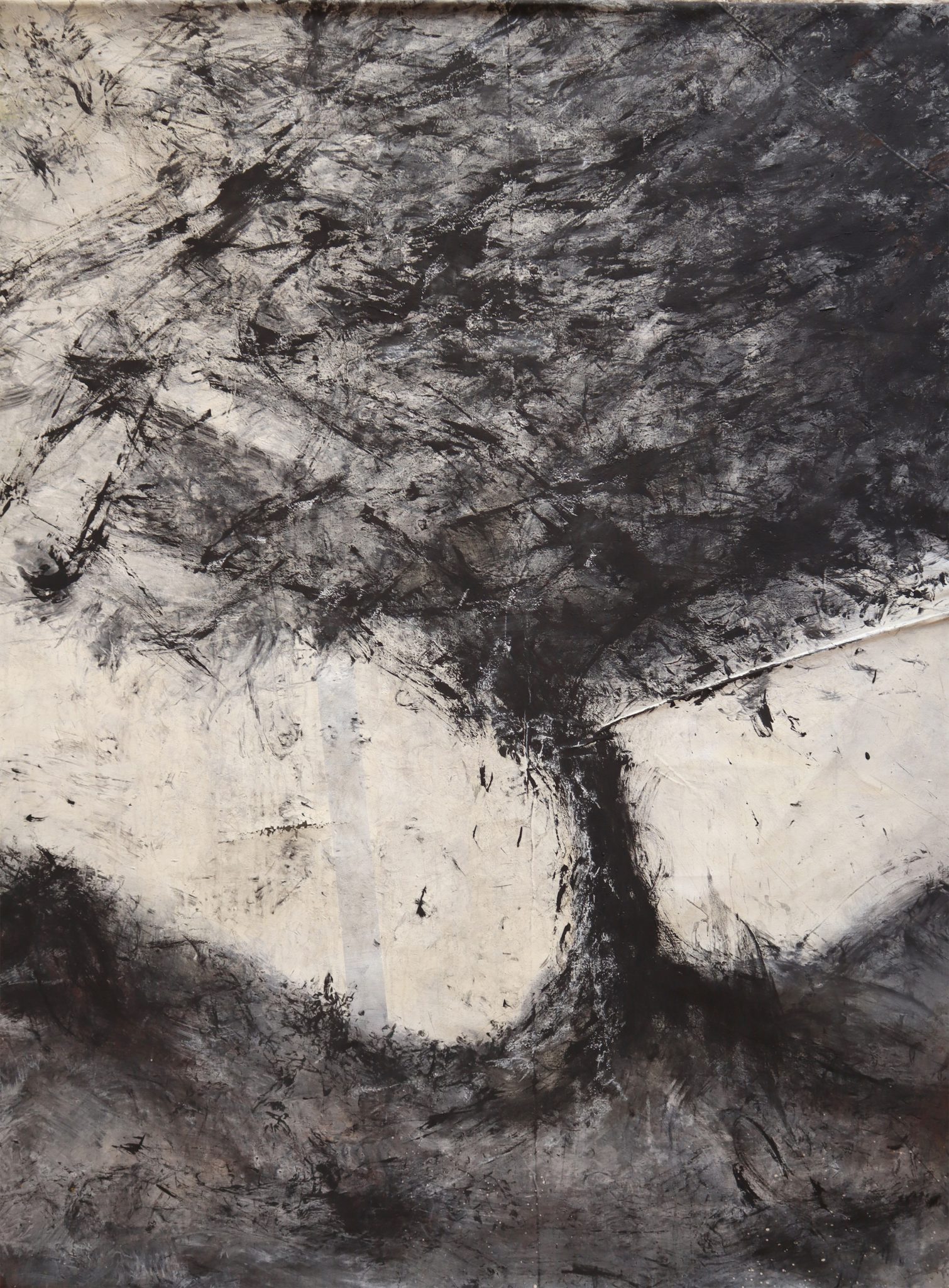 arbrefond-blanc-122x169-2020