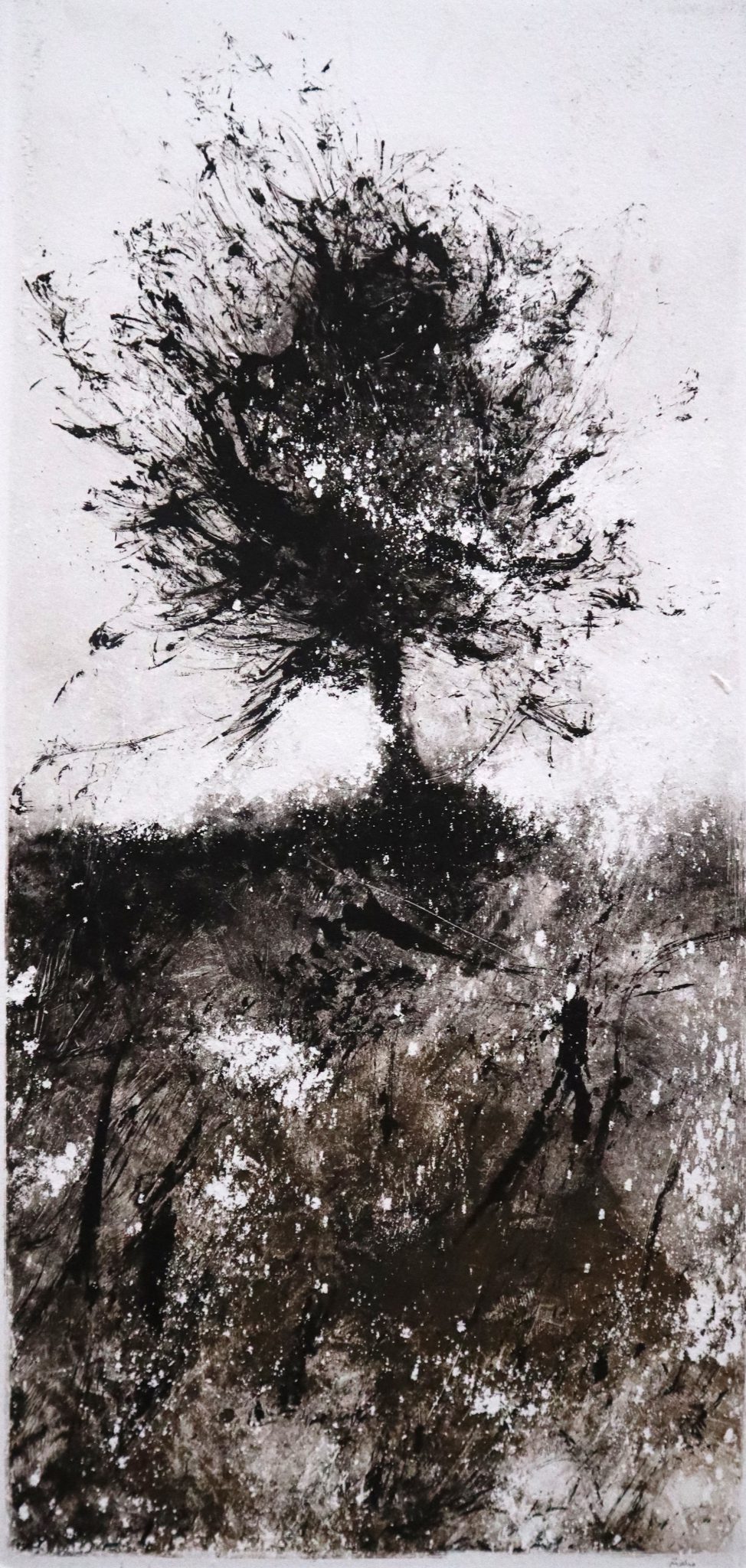 b2monotype-50x25-cm