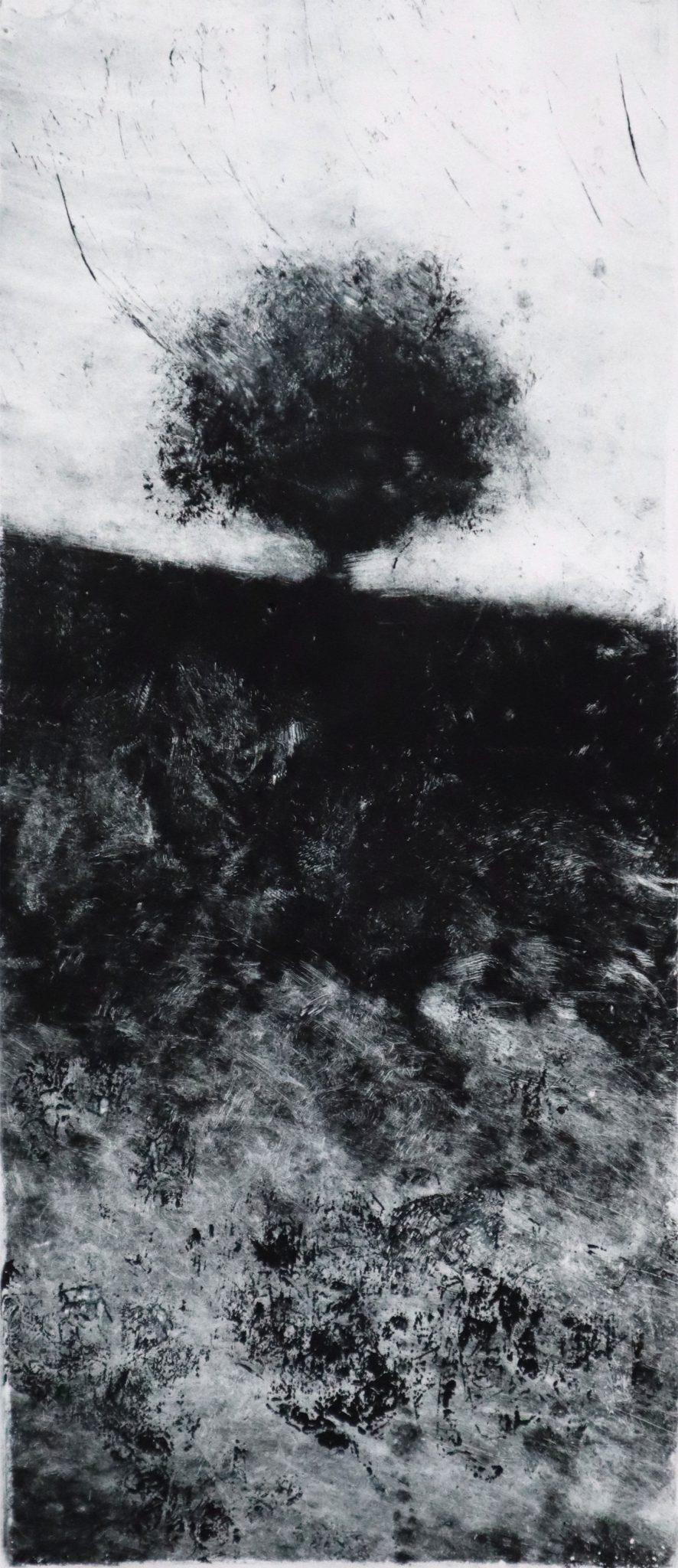 b3monotype-50x25-cm
