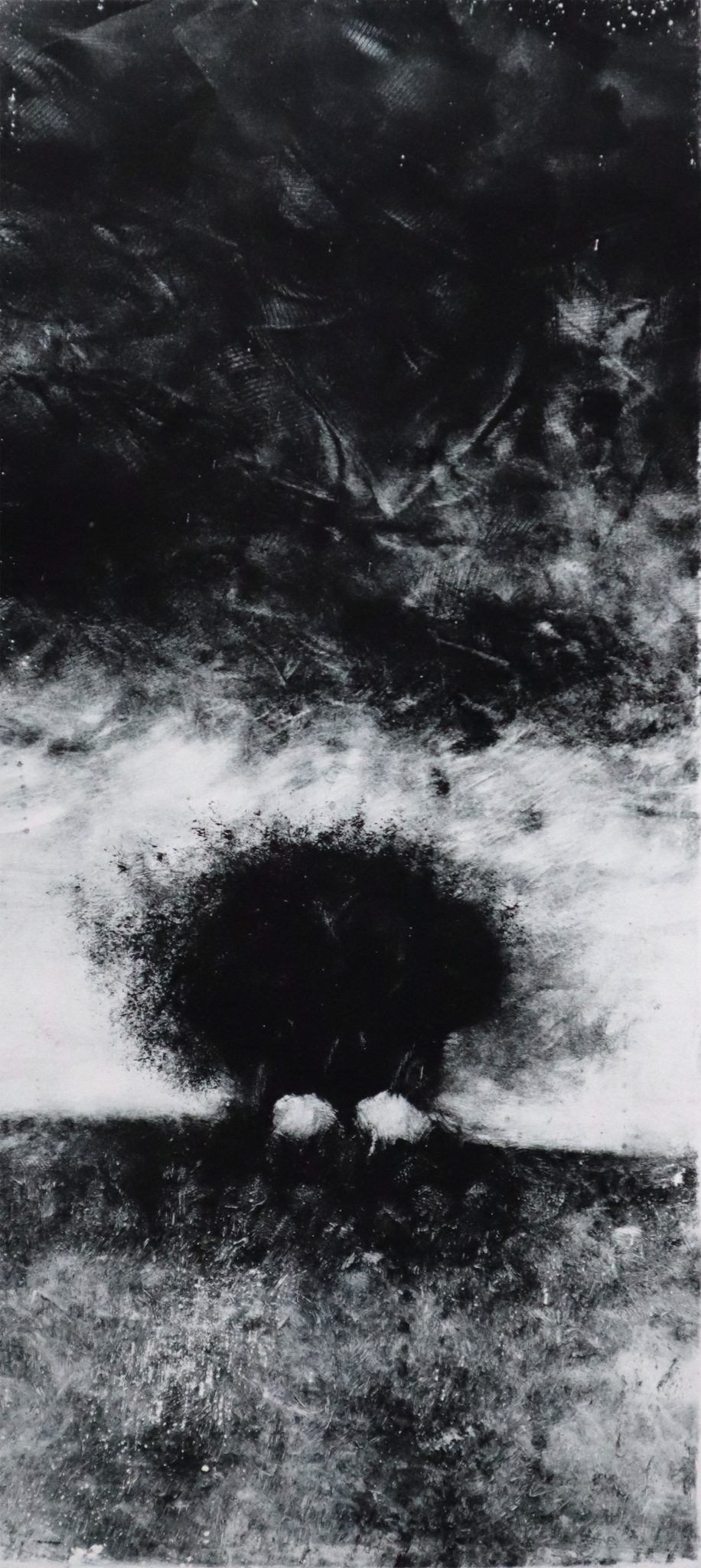 b4monotype-50x25-cm