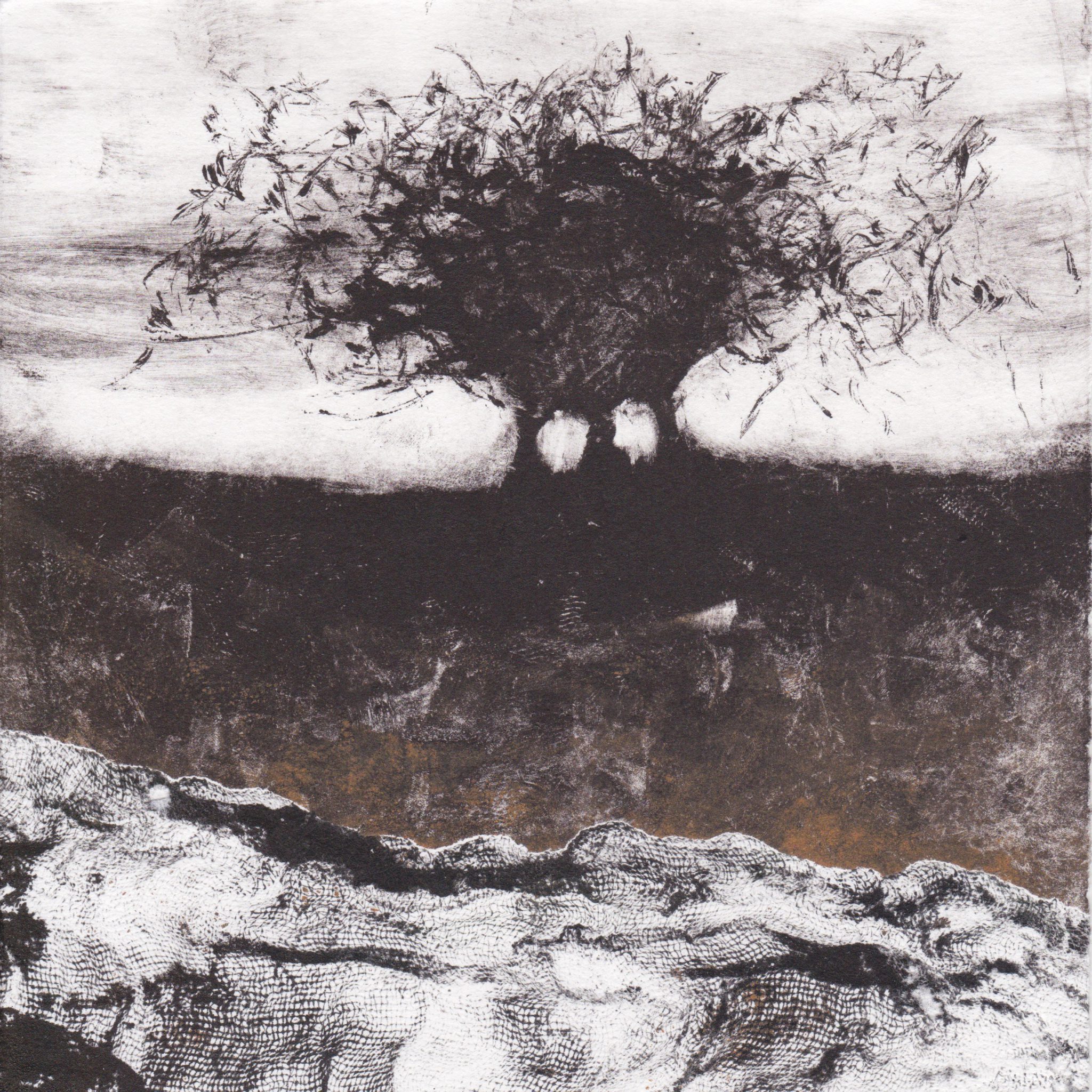 monotype-20x20-cm