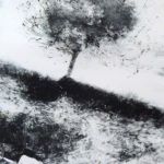 grand mono 002