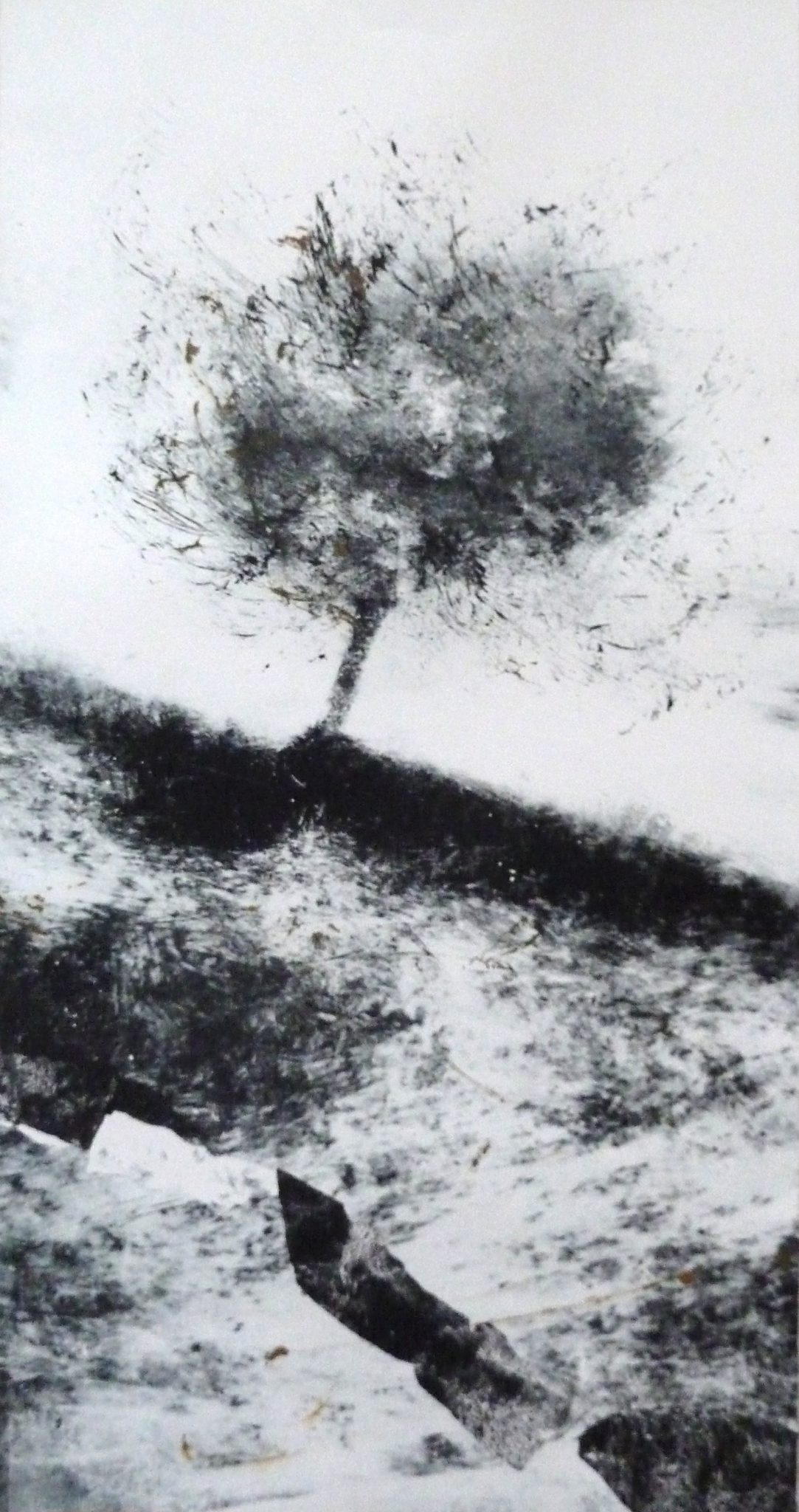 grand-mono-002