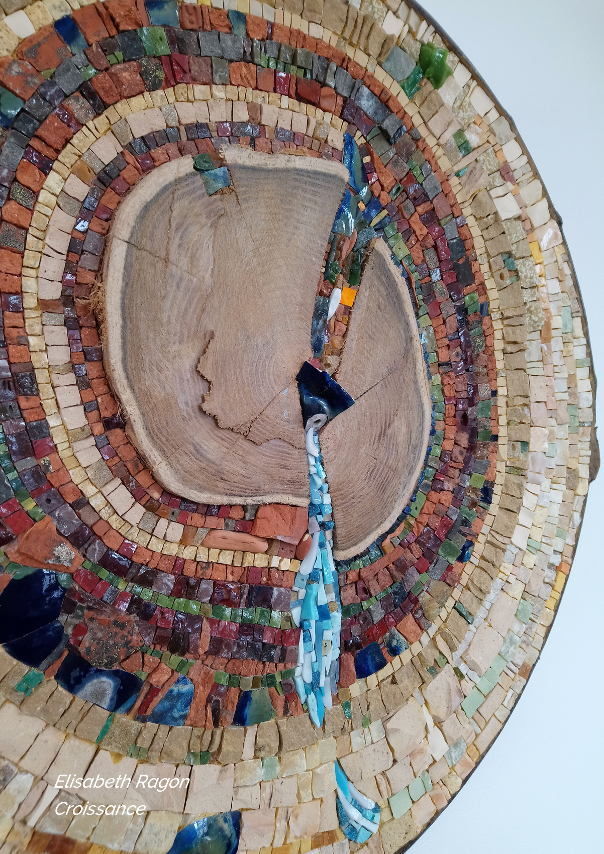croissance-6