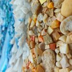 L\'isola felice