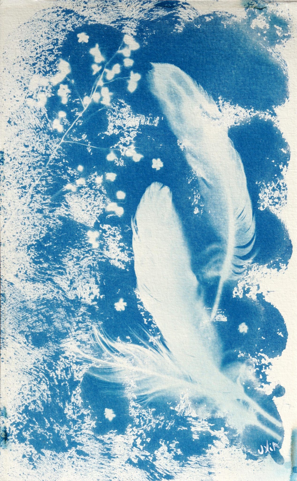 neige-de-printemps