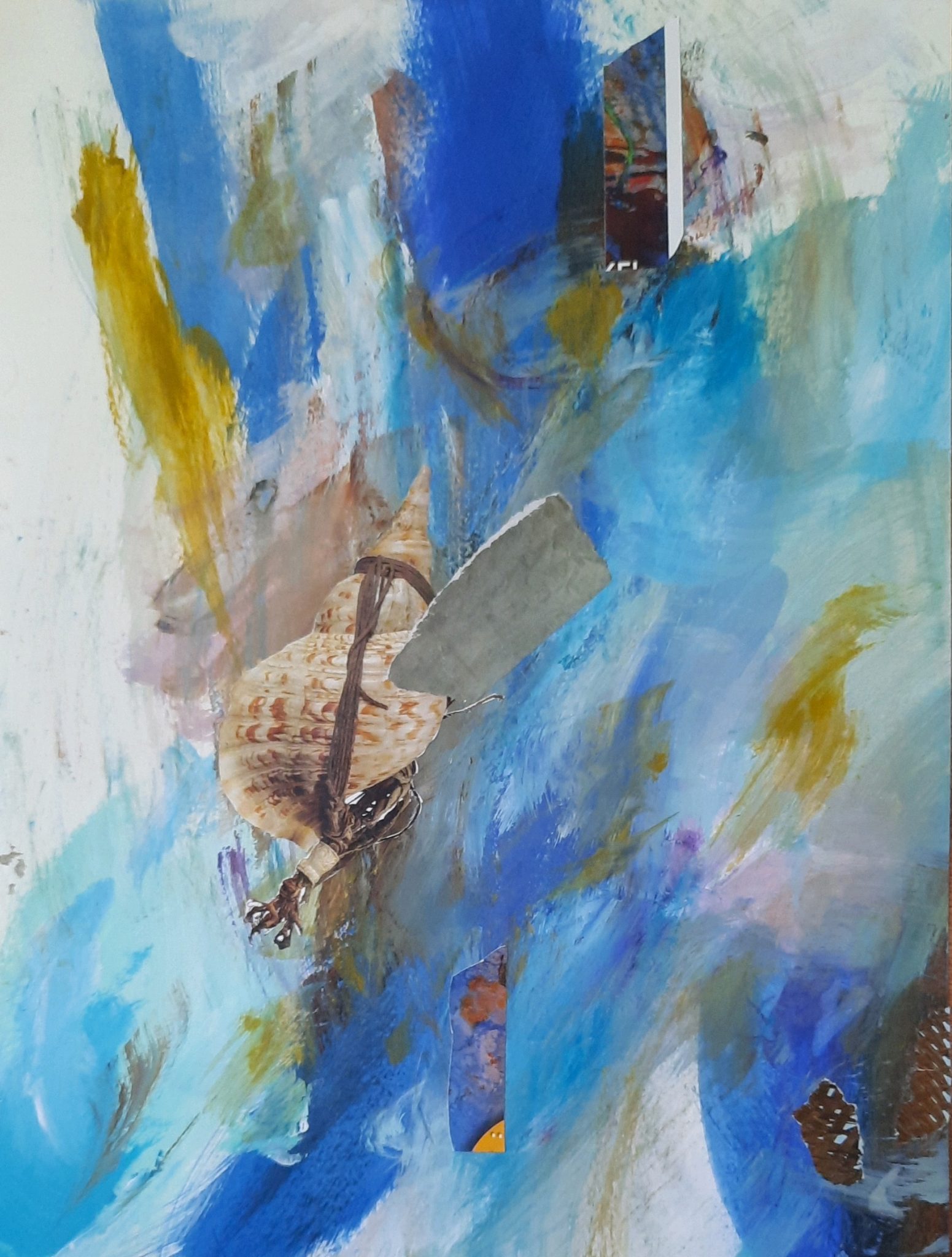 coquillage-8