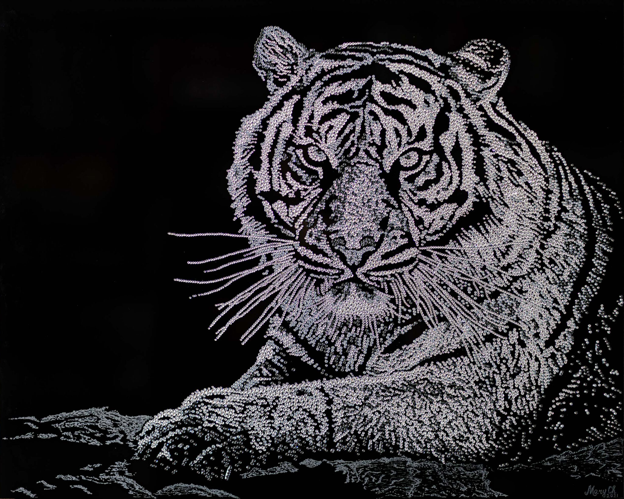 tigre-4